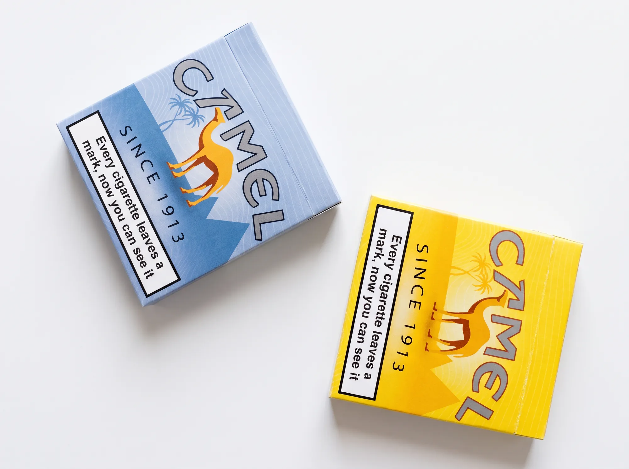 The Blue and Yellow packs side by side, backs with the Camel logo and the slogan box.